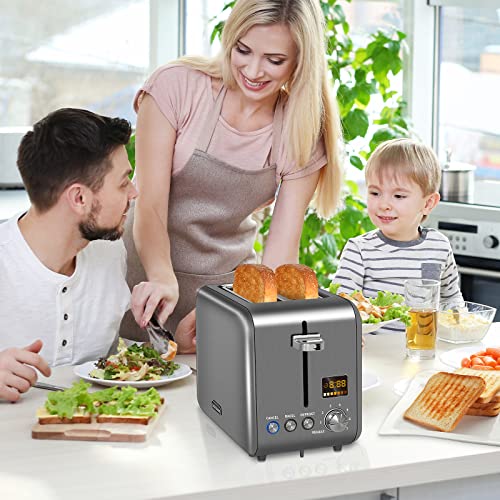 SEEDEEM Toaster 2 Slice, Stainless Steel Bread Toaster with Colorful LCD Display, 7 Bread Shade Settings, 1.4'' Wide,900W, Dark Metallic